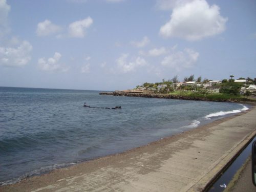 st. kitts & nevis tours