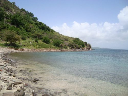 st. kitts & nevis tours