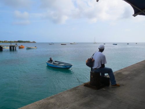 st. kitts & nevis tours