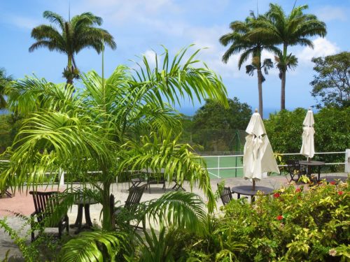 st. kitts & nevis tours