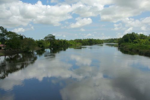 suriname tours