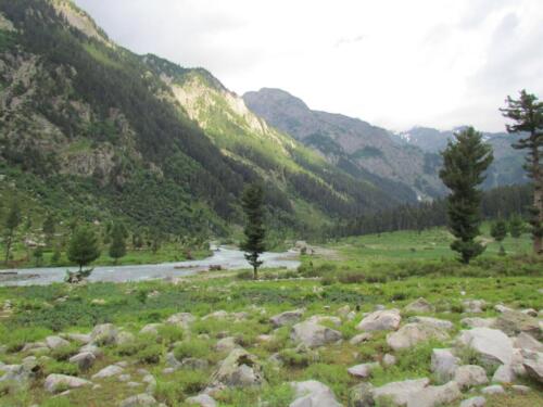 swat malam jabba miandam kalam mahodand kumrat & dir tour