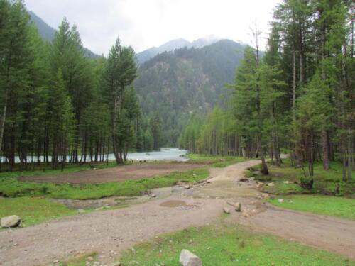 swat malam jabba miandam kalam mahodand kumrat & dir tour