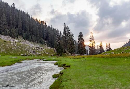 swat malam jabba miandam kalam mahodand kumrat & dir tour