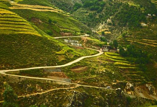 swat malam jabba miandam kalam mahodand kumrat & dir tour