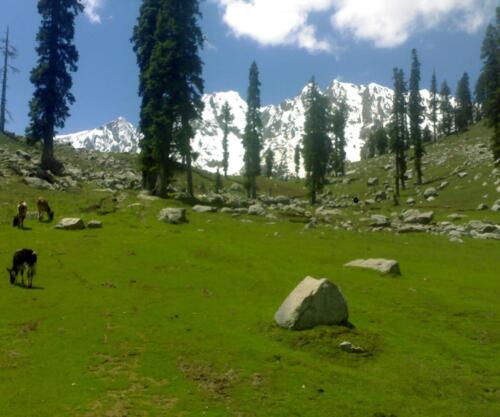 swat malam jabba miandam kalam mahodand & kumrat tour