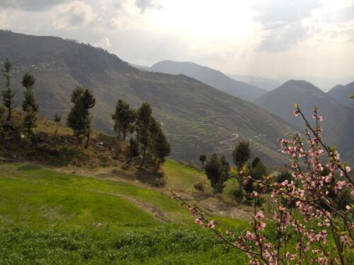 swat malam jabba miandam kalam mahodand & kumrat tour