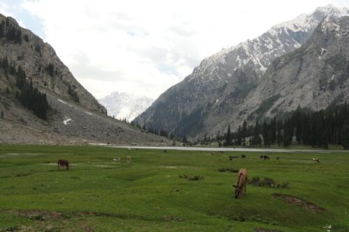 swat malam jabba miandam kalam mahodand & kumrat tour