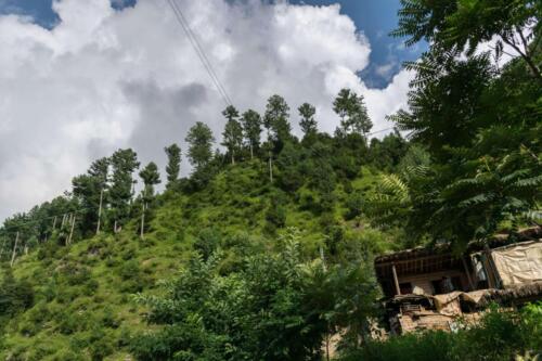 swat malam jabba miandam kalam mahodand & kumrat tour