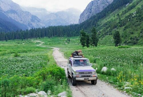 swat malam jabba miandam kalam mahodand & kumrat tour