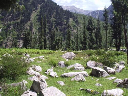 swat malam jabba miandam kalam mahodand & kumrat tour