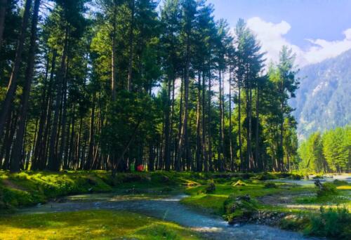 swat malam jabba miandam kalam mahodand & kumrat tour