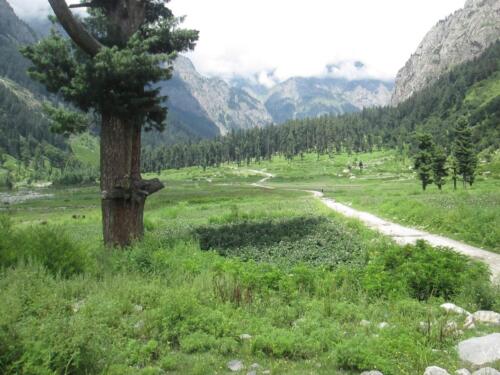 swat malam jabba miandam kalam mahodand & kumrat tour