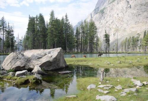 swat malam jabba miandam kalam & mahodand tour