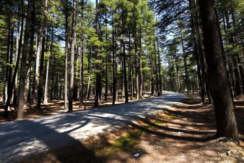 swat malam jabba miandam kalam & mahodand tour