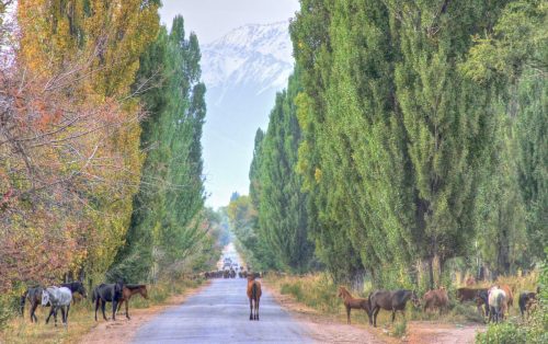 tajikistan and kyrgyzstan tour from pakistan