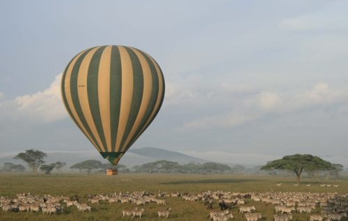 tanzania tours