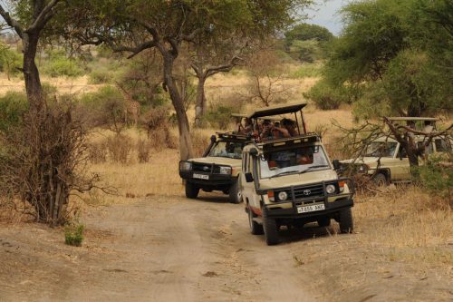 tanzania tours