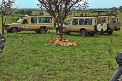 tanzania tours
