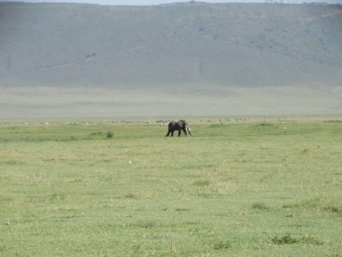tanzania tours