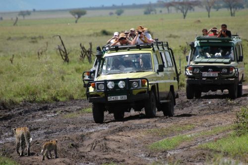 tanzania tours
