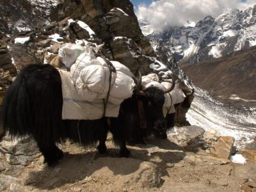 the three passes trek