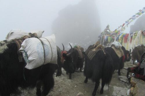 the three passes trek