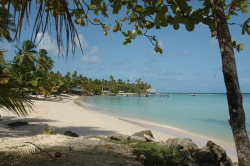 trinidad & tobago tours