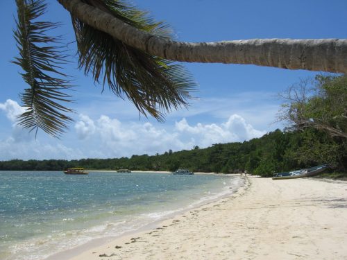trinidad & tobago tours