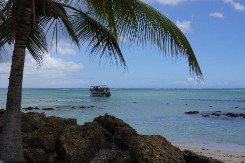 trinidad & tobago tours