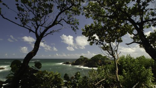 trinidad & tobago tours