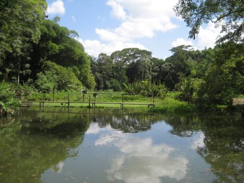 trinidad & tobago tours