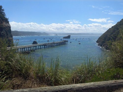 trinidad & tobago tours