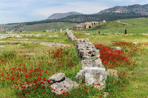 turkey tours