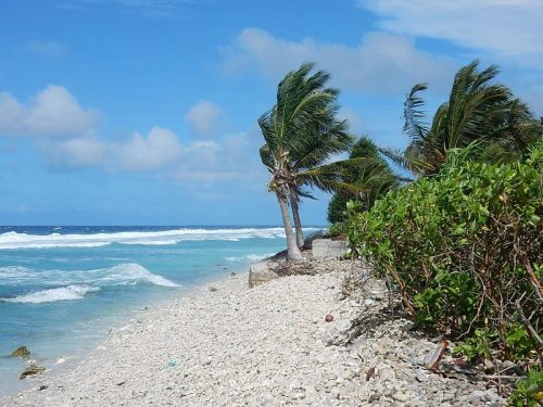 tuvalu tours