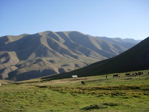 uzbekistan, kyrgyzstan and tajikistan tour from pakistan