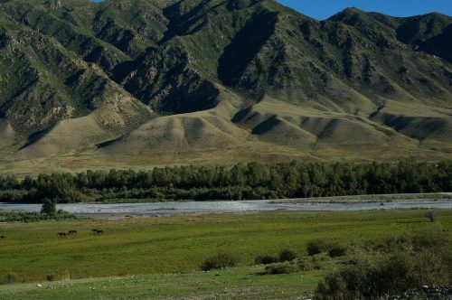 uzbekistan and kazakhstan tours