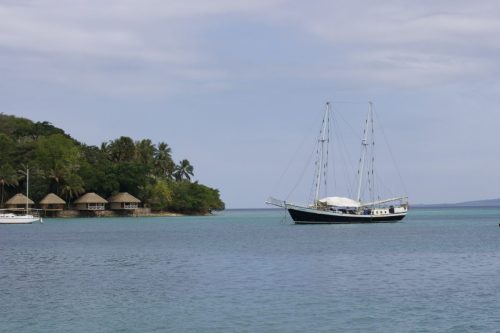 vanuatu tours
