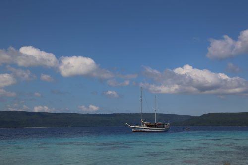 vanuatu tours