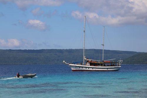 vanuatu tours