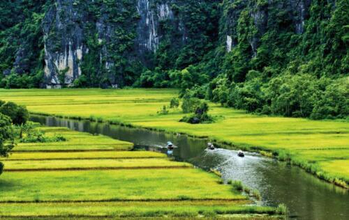 vietnam tours