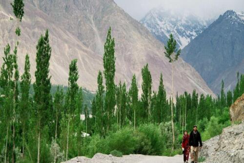 yasin valley tour