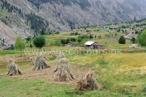 Around Nanga Parbat Trek - Mazeno La Trek