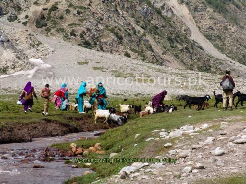 Mazeno La Pass Trek Circuit Nanga Parbat