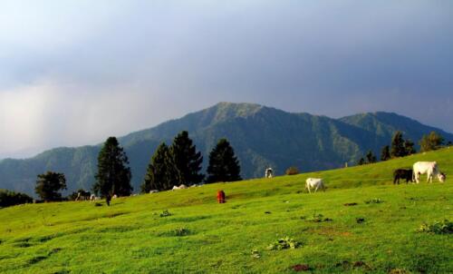 Mushkpuri Top Tour