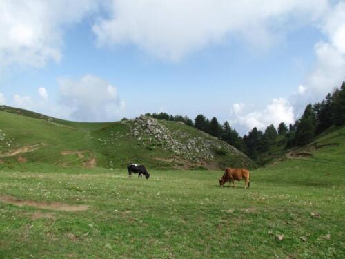 Mushkpuri Top Tour
