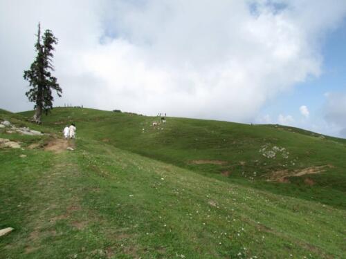 Mushkpuri Top Tour