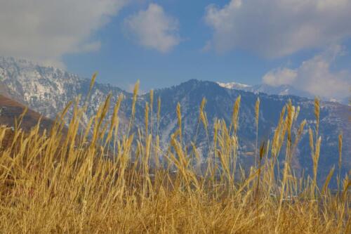 Pir Chinasi Tour