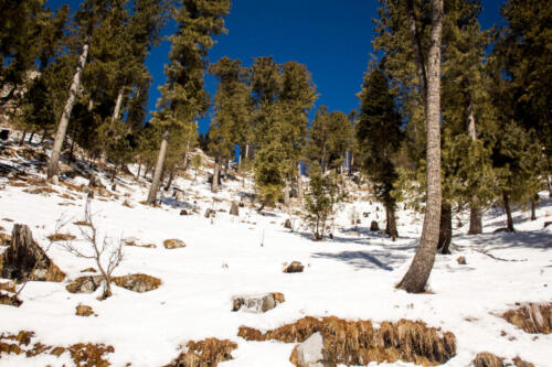 Thandiani Abbottabad Tour