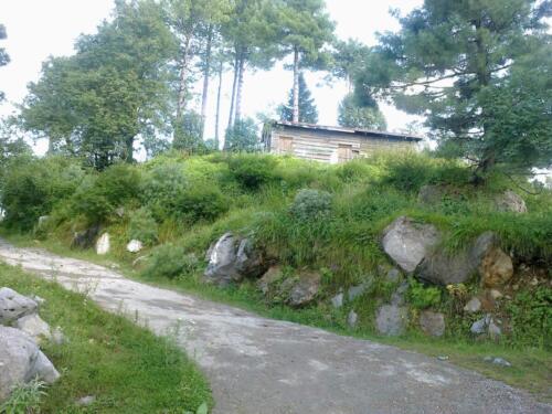 Thandiani Abbottabad Tour